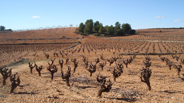[requena+6.jpg]