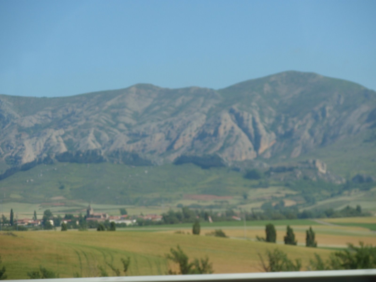 [vinexpo2009+050.JPG]