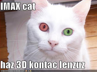 3d contact lens cats - beautifull cats eyes,cats blue eyes,3d lens cats eyes,beautifull lens cats,white lens cats,white cats lens