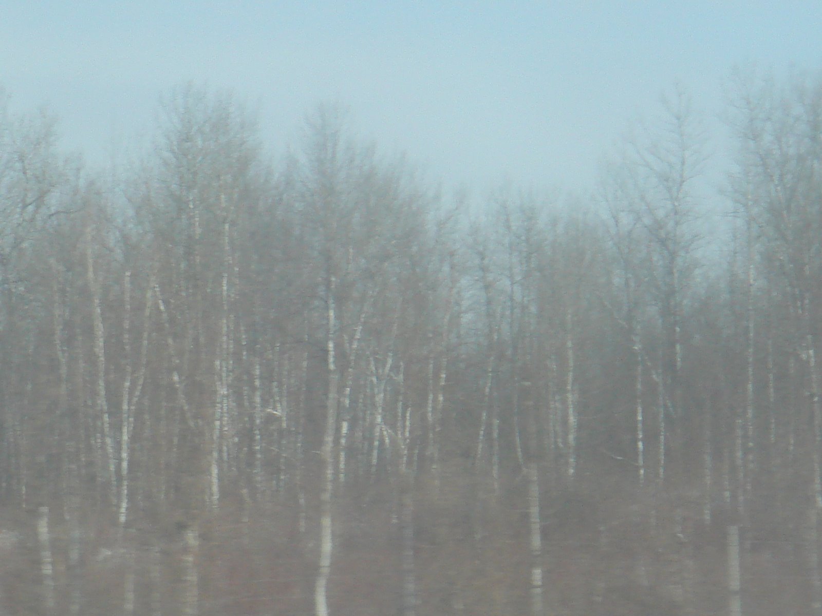 [DSC02437.JPG]