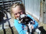 Calie and the pigmy goat