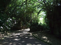 Sunlight on the trail at Yara Castle