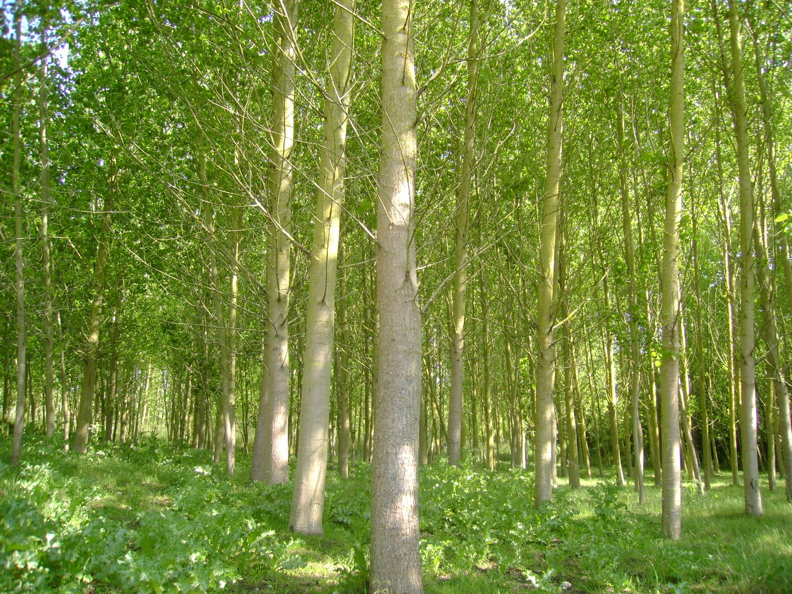 [DSC00628.JPG]
