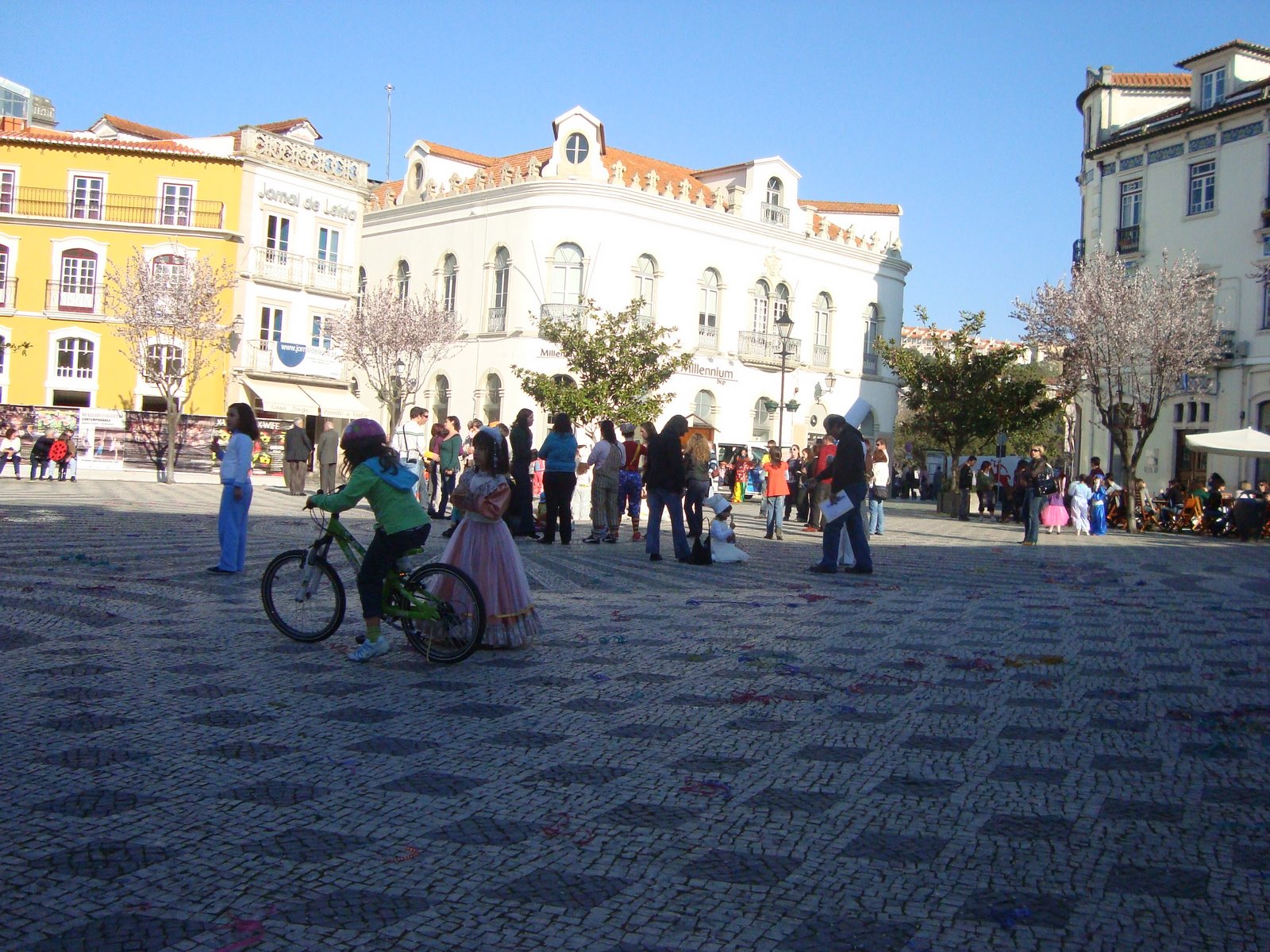 [DSC05434.JPG]