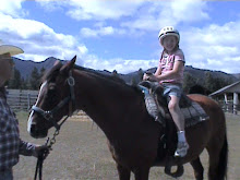 me one my first horse ever