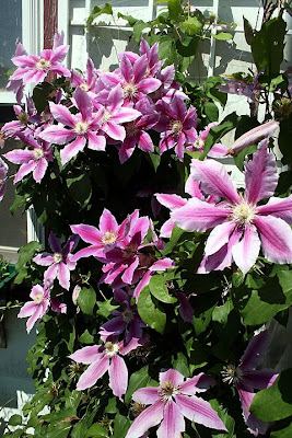 and Carnaby, in the corner