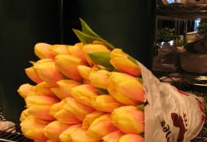 [imageresizecrop.php]