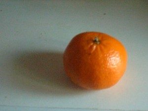 [tangerina.jpg]