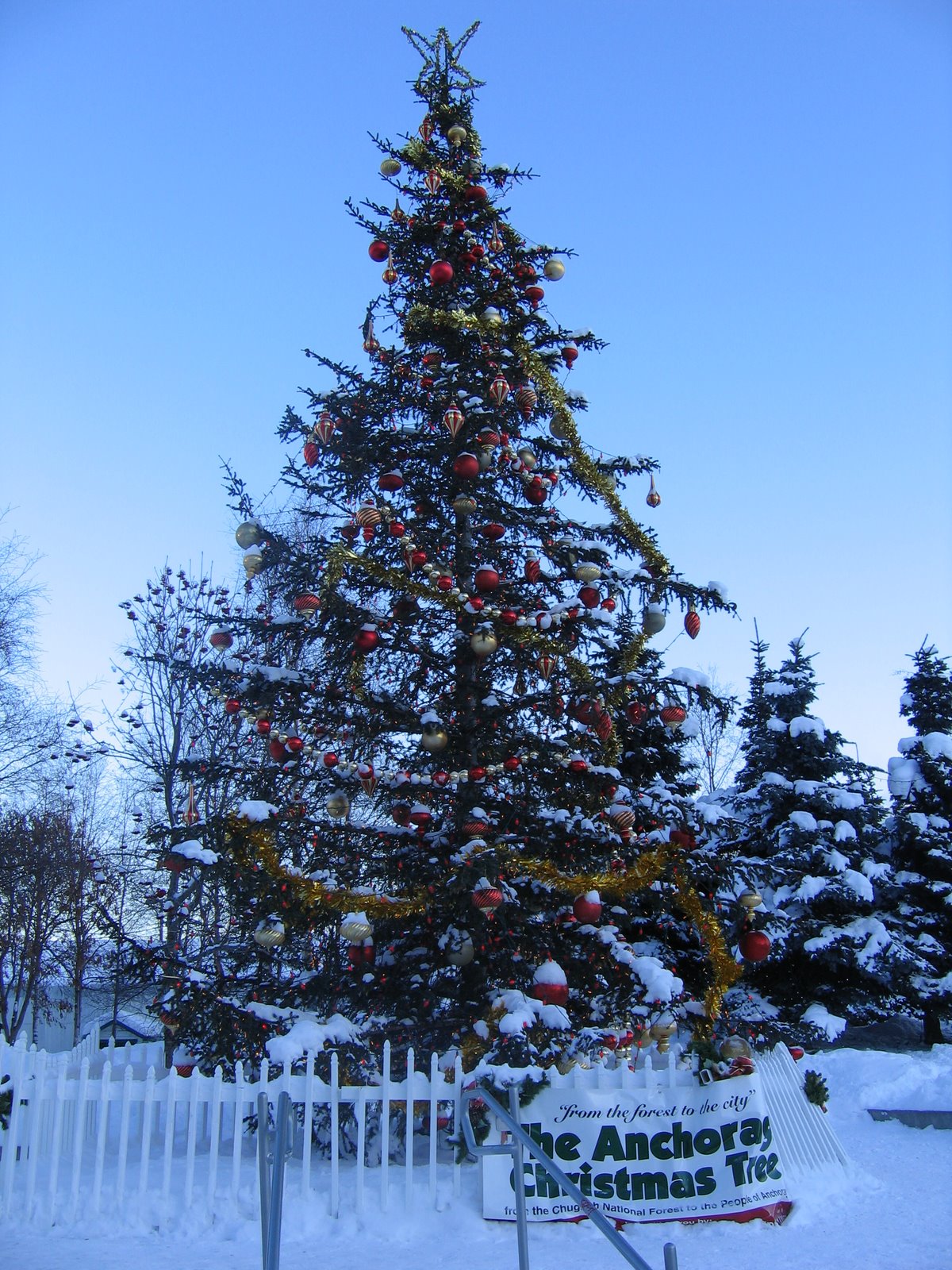 [IMG_3473.JPG]