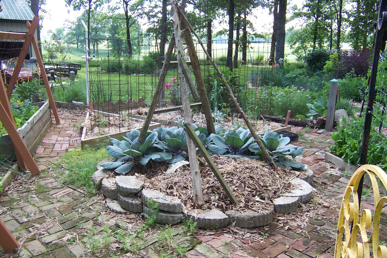 In the Garden: Vegetable Garden Update-May 2010