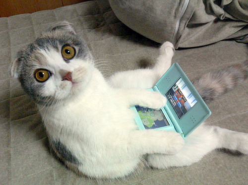 A tothom li agrada jugar a la DS...