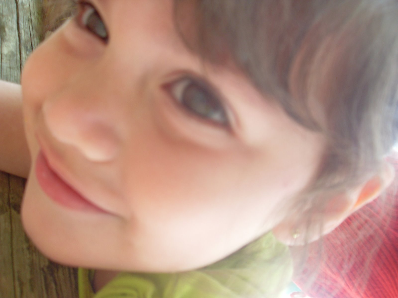 [SDC16181.JPG]
