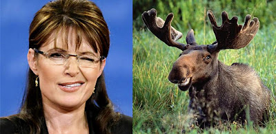 scary palin