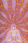 Yogi Bliss...