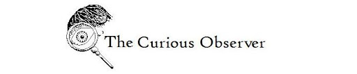 The Curious Observer