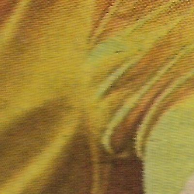 [michaelballack_7_closeup.jpg]