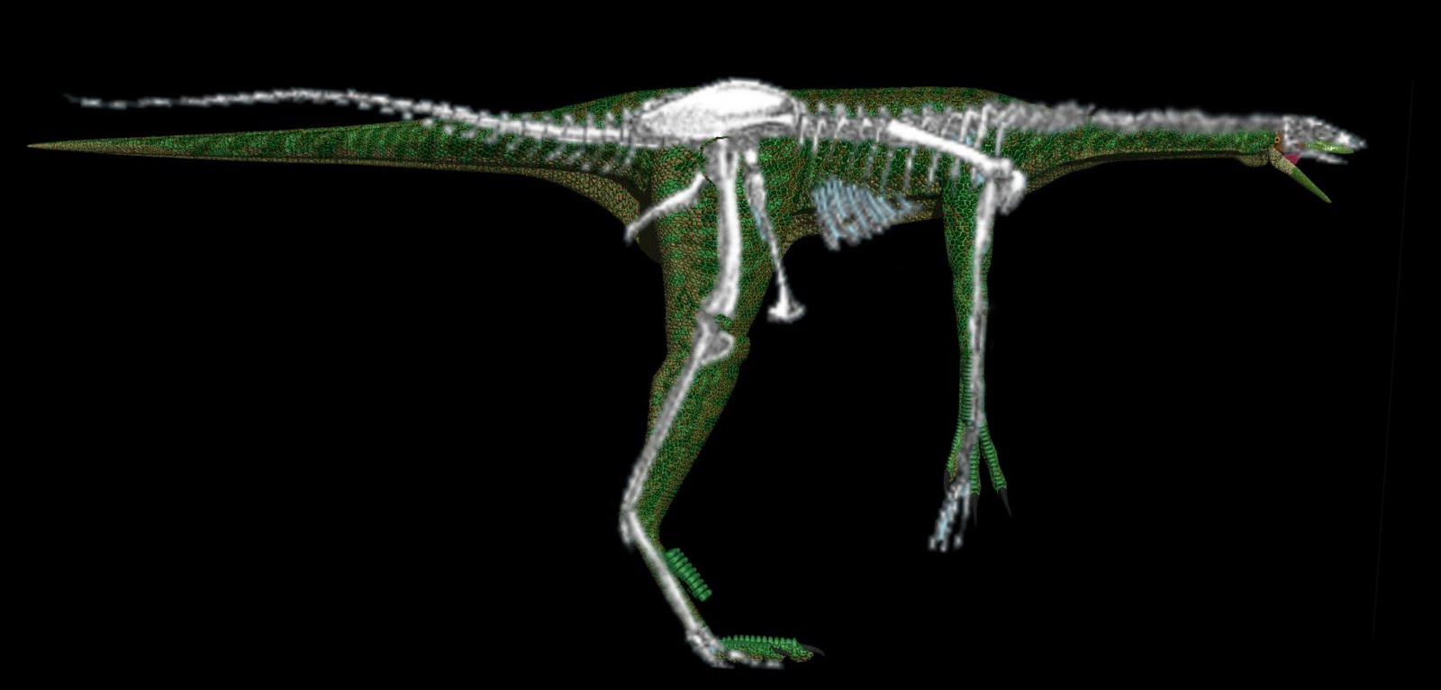 ornithomimid pictures