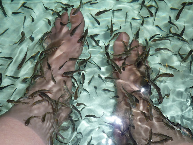 Fish Spa- little fishes eating the dead skin. Ticklish