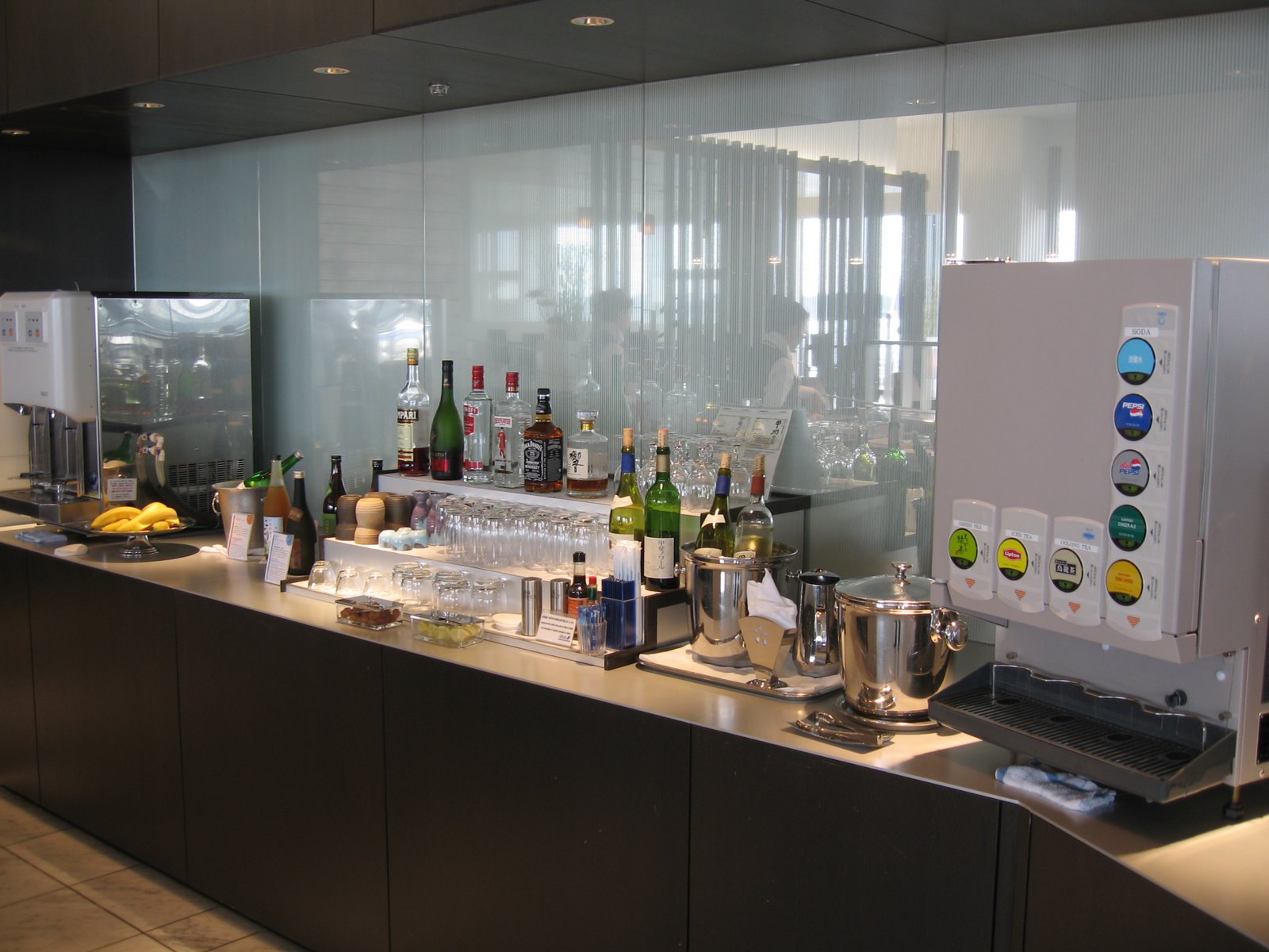 [AKL-NRT-ZRH+028.JPG]