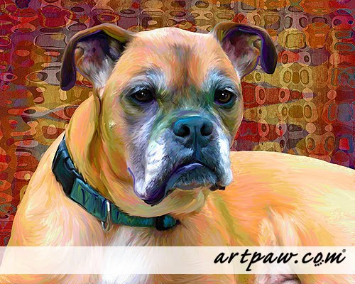 boxer dog artwork