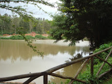 Orange county resort, Coorg