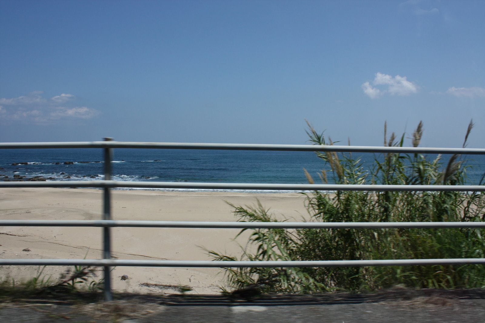 [IMG_0950.JPG]