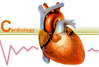 cardiologists lists