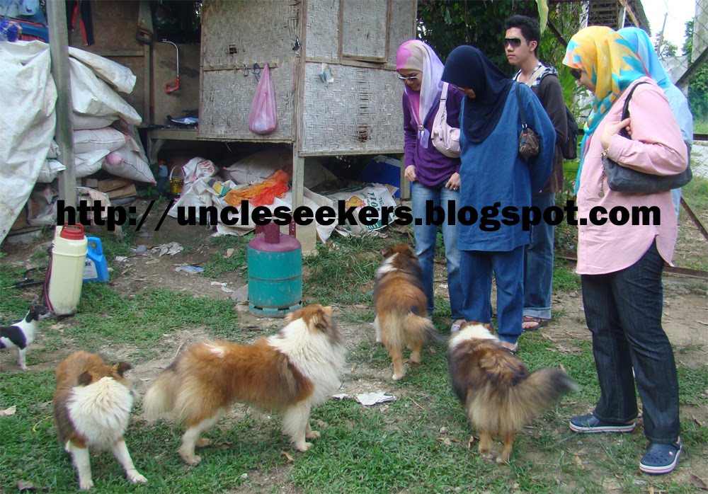 Mencari Teman Cewek Portal Cari