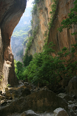 LA GARGANTA VERDE