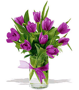 [Passionate-Purple-Tulips.jpg]