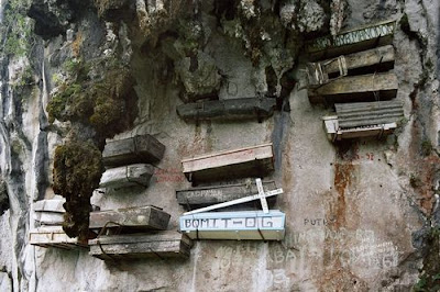 Dağdan Sarkıtılan Tabutların Sırrı Hanging+coffins+of+sagada