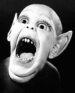 [33-micks-story.gif]