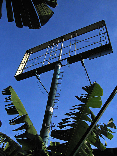 [482785705_acdfaf50ef.jpg]