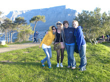 Some fellow interns on Signal Hill overlooking Cape Town