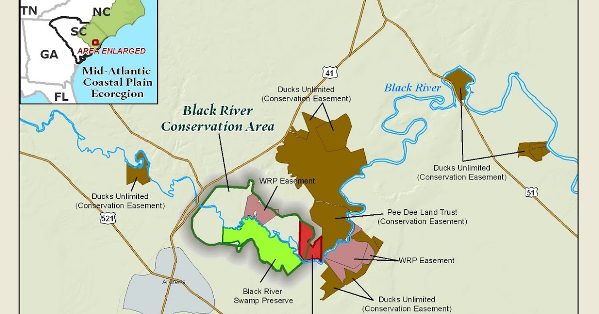 Lowcountry outdoors TNC adds to Black River Preserve