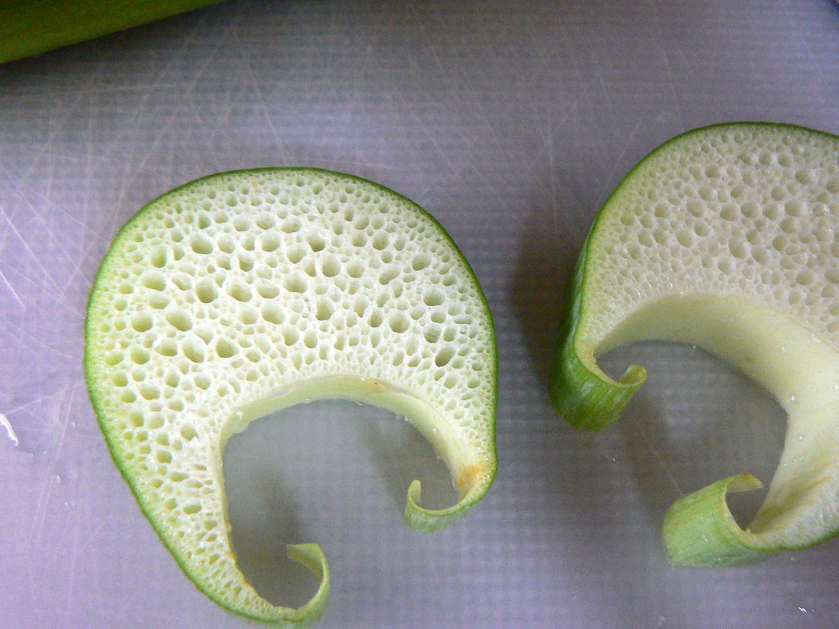 My Food Adventures LOTUS STEMS