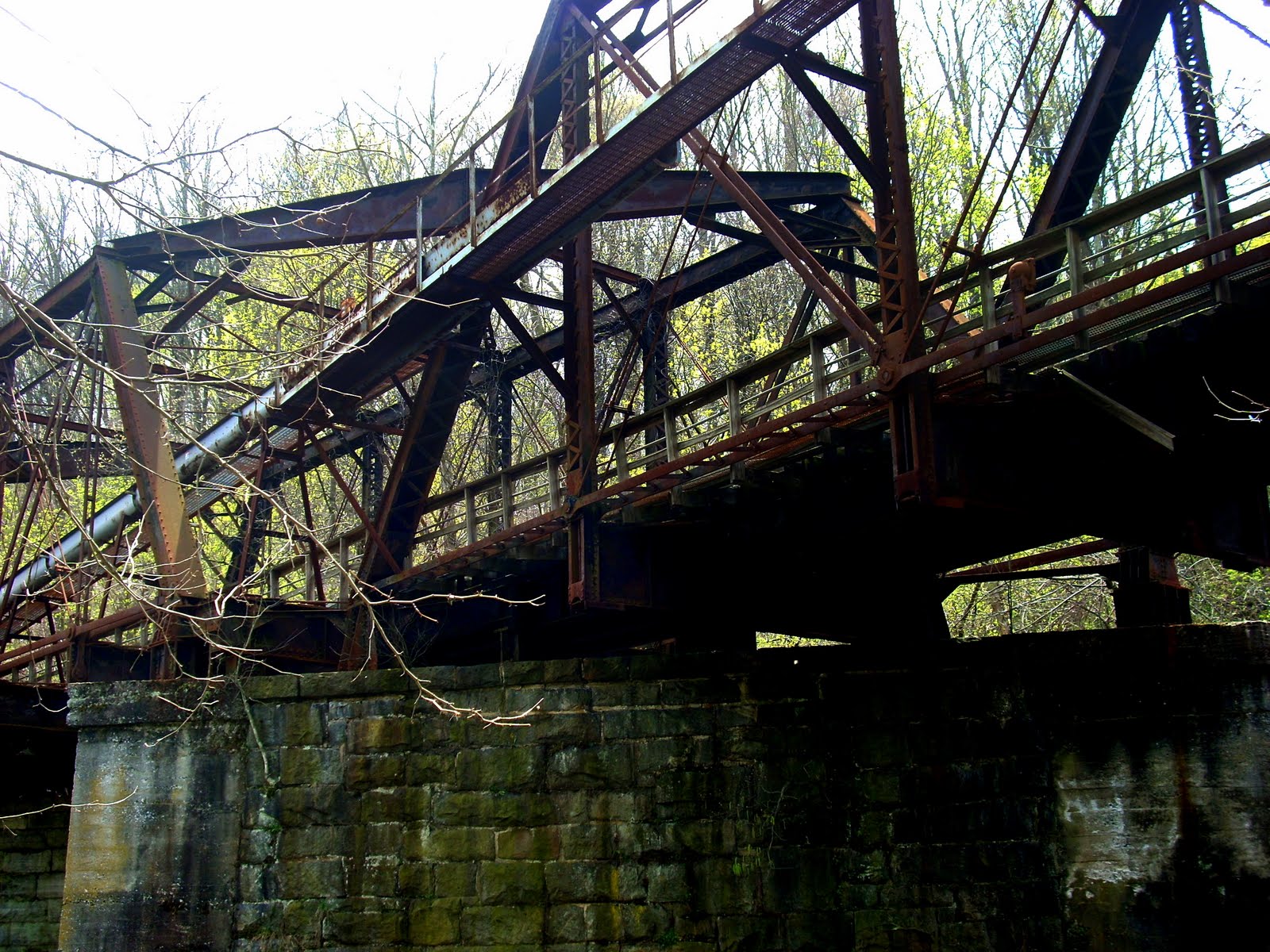 Neglected Beauty. Ellicott City's spring beauty