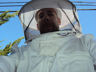 bee removal angeles los county trapping animal april hive
