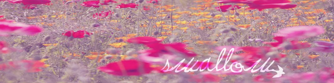 SWALLOW