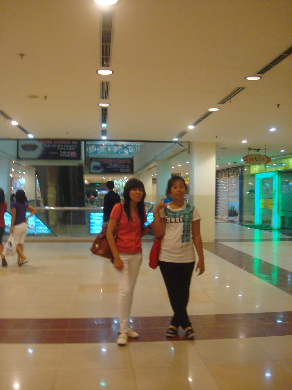 [DSC06178.JPG]