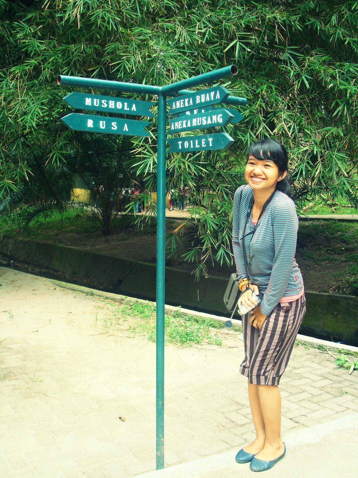 [DSC06803.JPG]