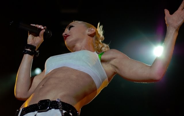 Paramore review essays 07 picture