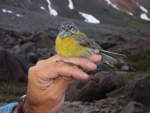 [256543841_9bc399ab01.jpg]