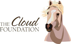 The Cloud Foundation