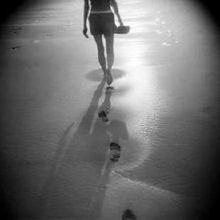 Sombras...