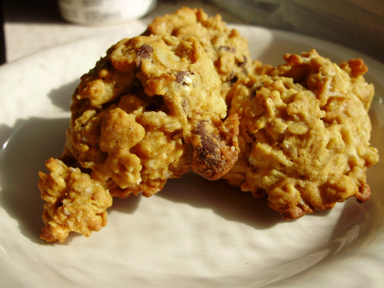 Ohiofarmgirl's Adventures In The Good Land Honey Oatmeal Cookies