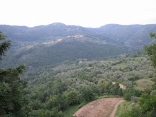 The view from our balcony - Tuscany