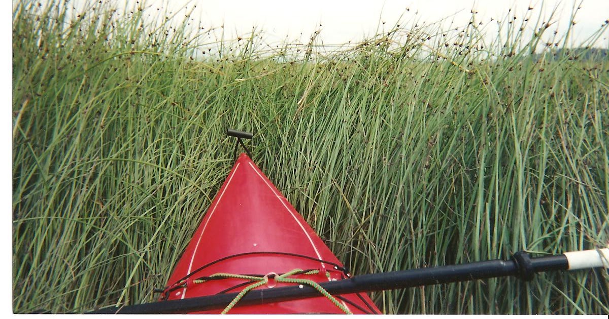 West Gardens Basketry Northwest Sweet Grass Basket Grass My