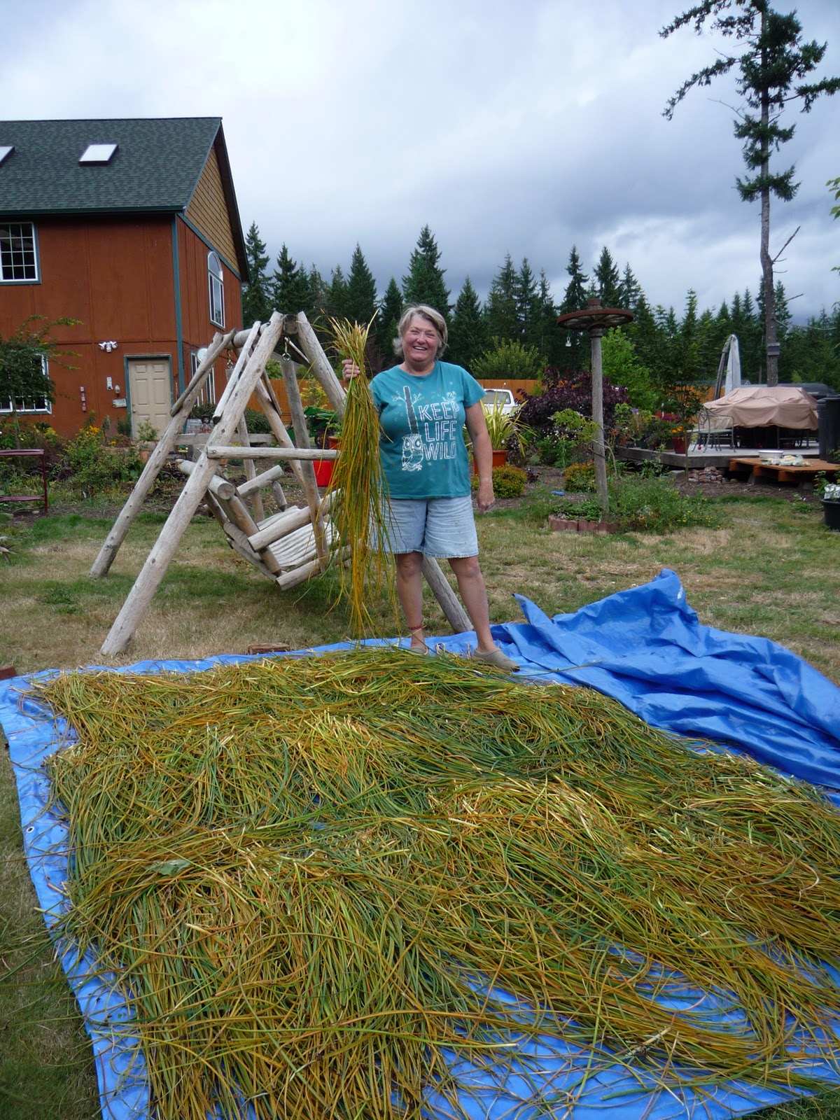 West Gardens Basketry Northwest Sweet Grass Basket Grass My
