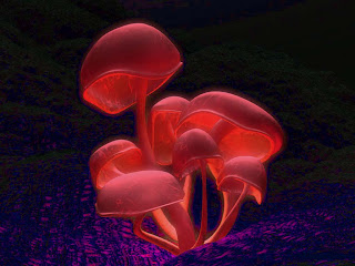 Hmmm, shrooms, hmmm, chocalate.